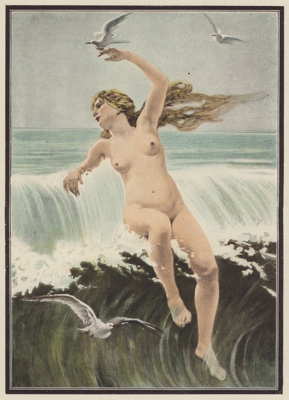 Ondas e gaivotas (cor litho) de Ferdinand Victor Eugene (after) Delacroix