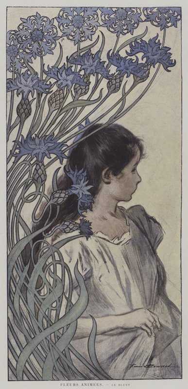 Fleurs Animees. Le Bluet. (Flores Animadas: a Flor de Milho) (cor litho) de Firmin (after) Bouisset