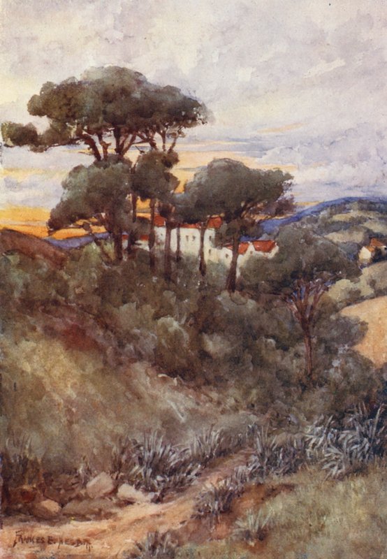 Stone Pines, Argel (litografia a cores) de Frances Nesbitt