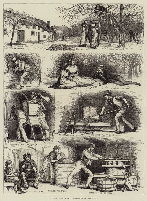 Encontro de Maçã e Fabricação de Cidra em Devonshire de Francis S. Walker
