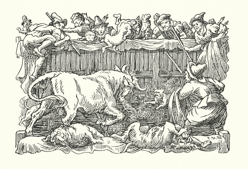 Merrie England: Isca de touro (litografia) de Francis Donkin Bedford