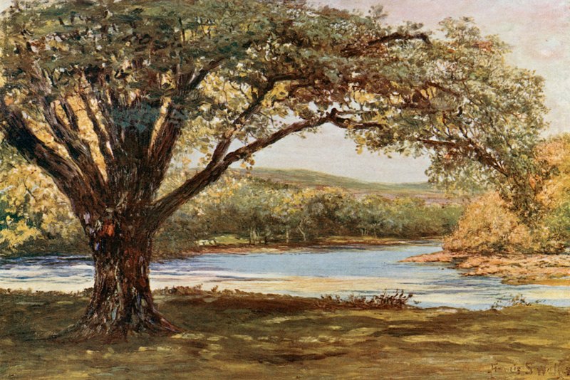 O Vale de Avoca de Francis S. Walker