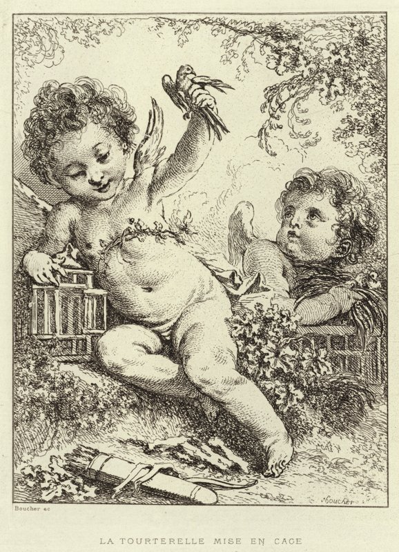 A Pomba Enjaulada (gravura) de Francois (after) Boucher