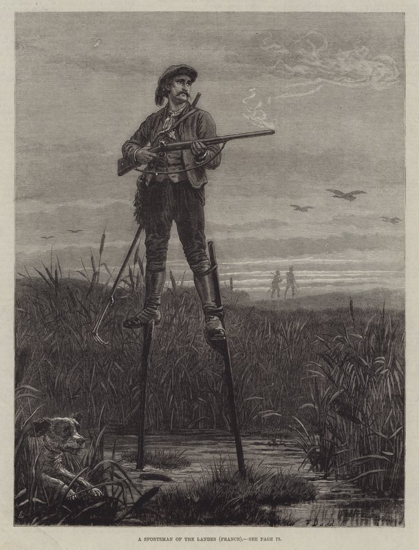 Um esportista do Landes (França) de Frank Dadd