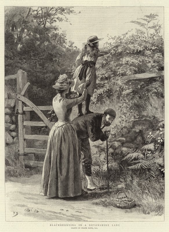 Blackberrying em uma pista de Devonshire de Frank Dadd