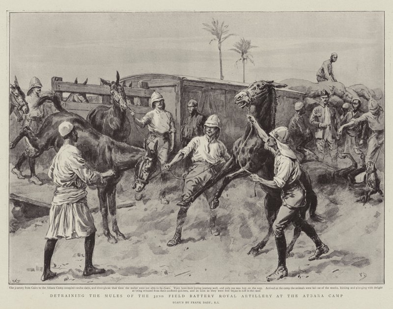 Destruindo as Mulas da Artilharia Real da 32ª Bateria de Campo no Acampamento Atbara de Frank Dadd