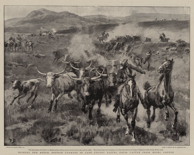 Dishing the Boers, fazendeiros britânicos em Cape Colony, salvando seus bois de serem saqueados de Frank Dadd