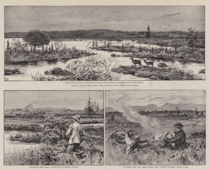Agricultura e Esporte na Terra Nova de Frank Dadd