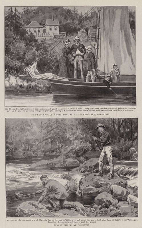 Agricultura e Esporte na Terra Nova de Frank Dadd