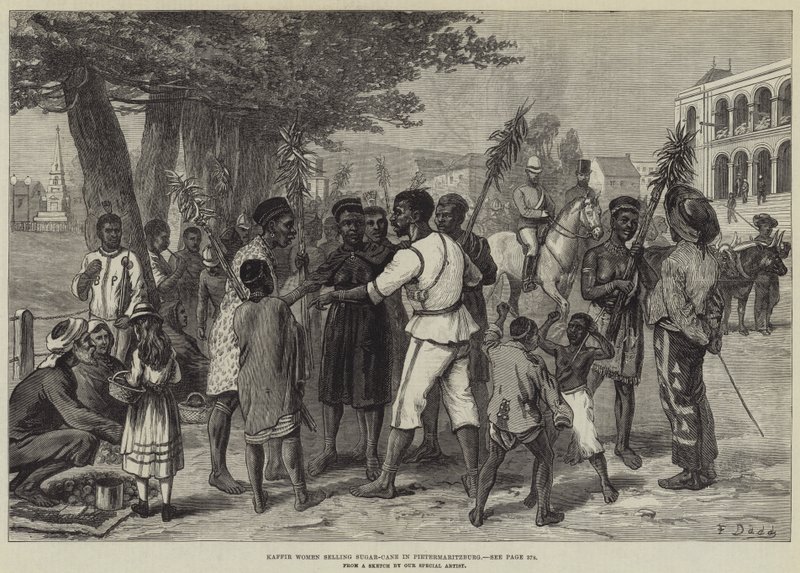 Kaffir mulheres vendendo cana-de-açúcar em Pietermaritzburg de Frank Dadd