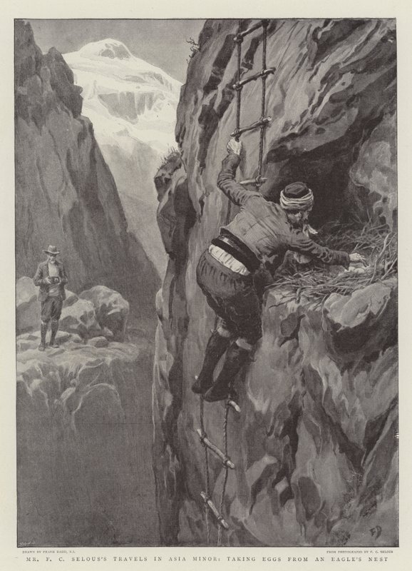 Viagens do Sr. FC Selous na Ásia Menor, levando ovos de um ninho de águia de Frank Dadd
