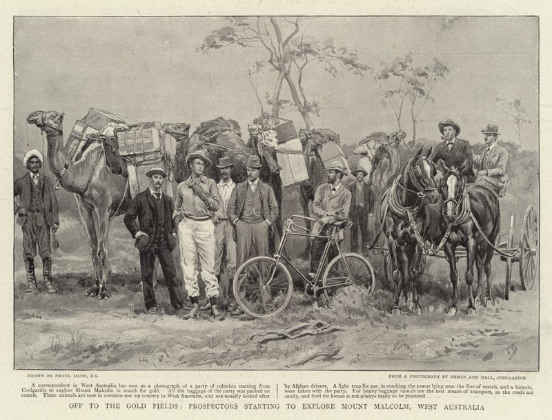 Para os campos de ouro, garimpeiros começando a explorar o Monte Malcolm, Austrália Ocidental de Frank Dadd