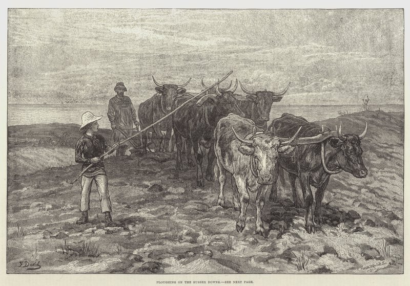 Arando no Sussex Downs de Frank Dadd