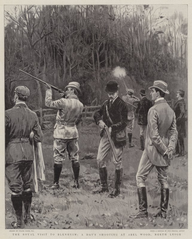 A visita real a Blenheim, um dia de tiro em Abel Wood, North Leigh de Frank Dadd
