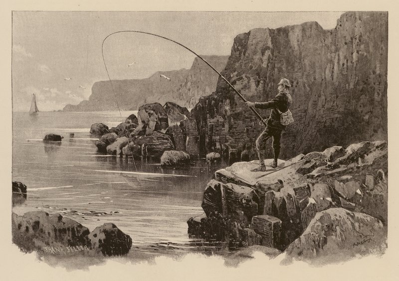 Pesca ao robalo (gravura) de Frank (after) Feller