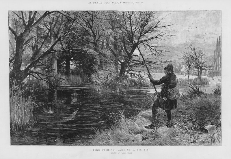 Pescador de lúcio desembarca um peixe grande (litho) de Frank (after) Feller