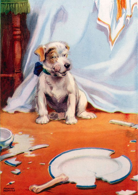 Cão com placa partida (cor litho) de Frank Adams