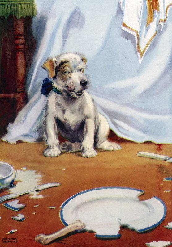 Cão com placa quebrada de Frank Adams