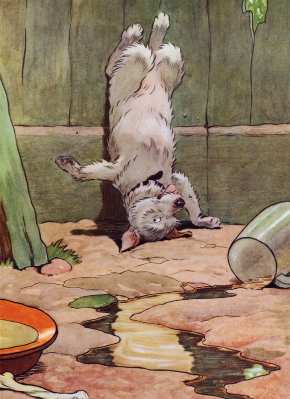 Ilustração para a Velha Mãe Hubbard (cor litho) de Frank Adams