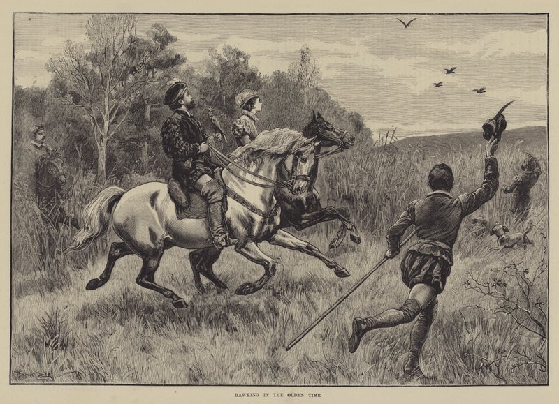 Hawking no tempo antigo de Frank Dadd