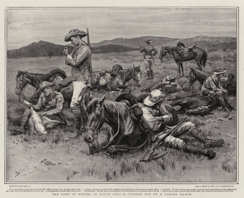 O cuidado de cavalos na África do Sul, fagged em uma marcha forçada de Frank Dadd