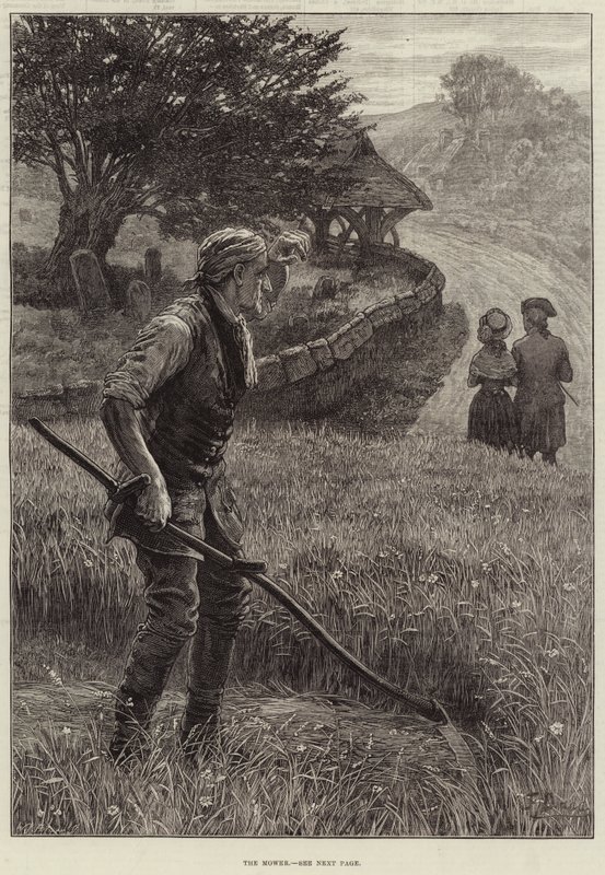 O cortador de Frank Dadd