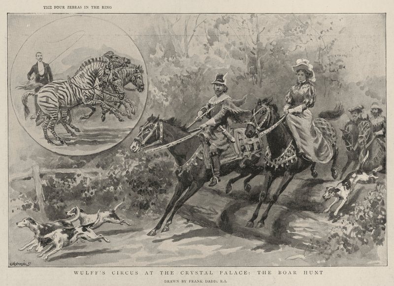 Circo de Wulff no Palácio de Cristal, a caça ao javali de Frank Dadd