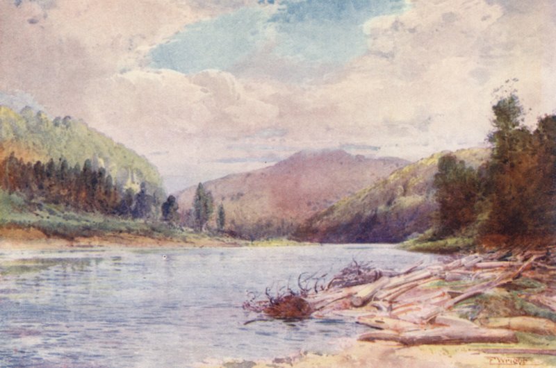 Nova Zelândia: Below the Junction of the Buller and Inangahua Rivers (litografia a cores) de Frank H Wright