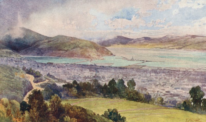 Nova Zelândia: Dunedin (litografia a cores) de Frank H Wright