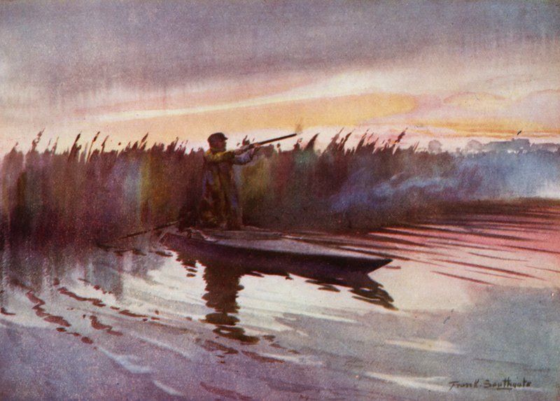 Norfolk Broads: Tiro de voo (cor litho) de Frank Southgate