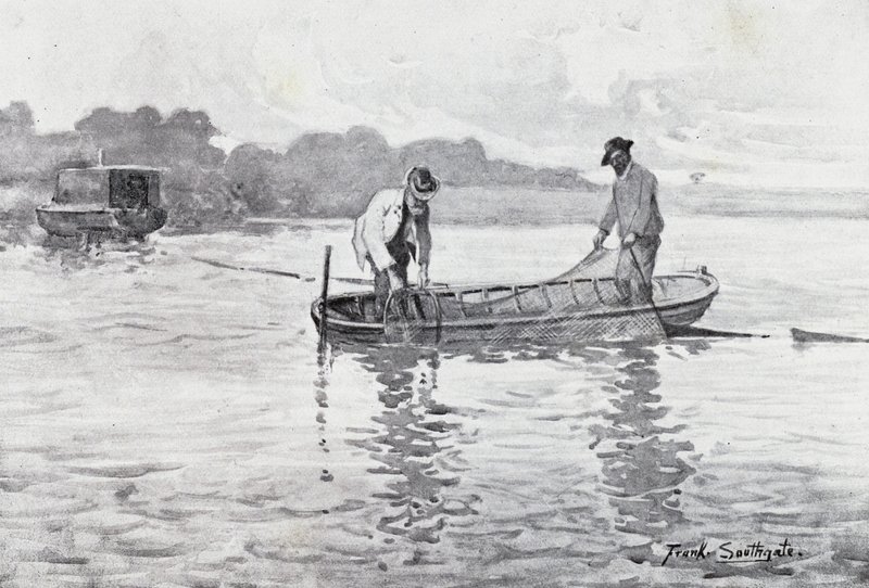 Norfolk Broads: transportando os pods de enguia de Frank Southgate