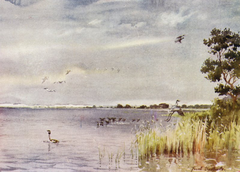 Norfolk Broads: Horsey Mere de Frank Southgate