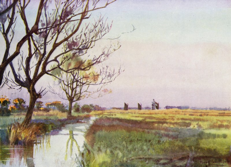 Norfolk Broads: Marshland perto de Barton (cor litho) de Frank Southgate