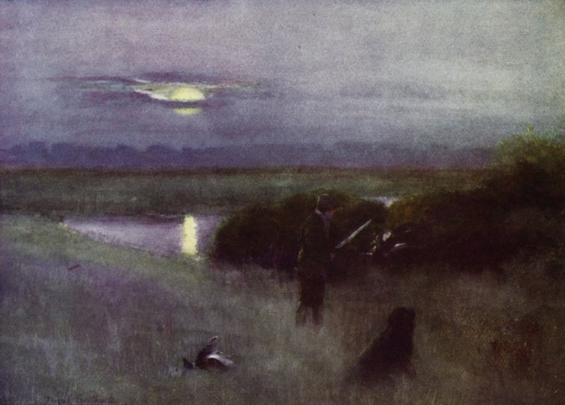 Norfolk Broads: Nascer da Lua, em voo (cor litho) de Frank Southgate