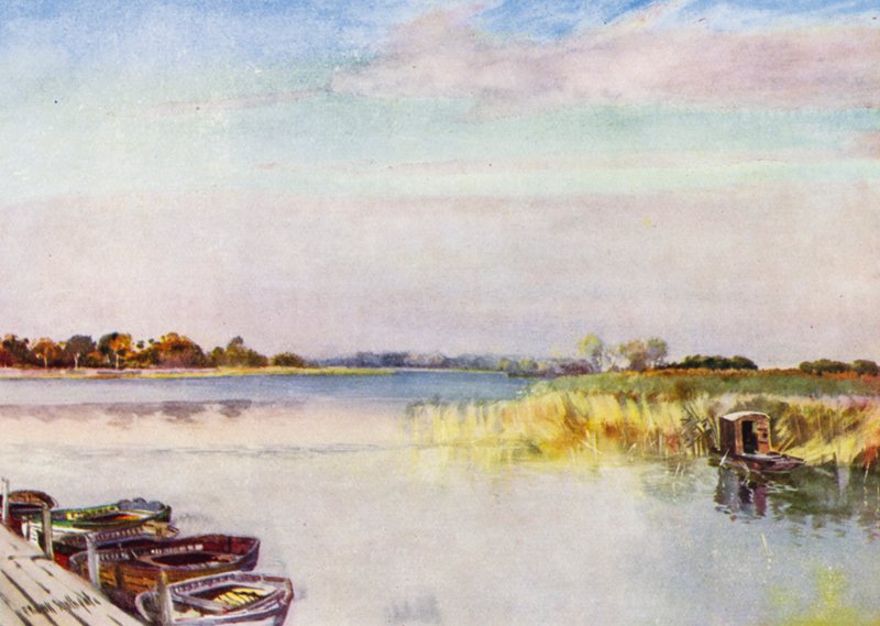 Norfolk Broads: Ormesby Broad, Outono (cor litho) de Frank Southgate