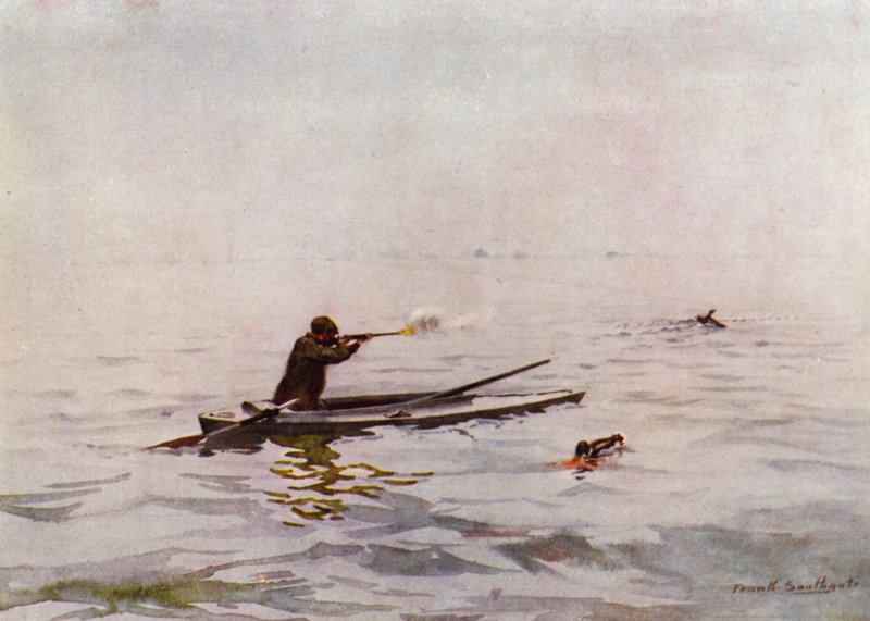 Norfolk Broads: Punt-Gunning on Breydon (cor litho) de Frank Southgate