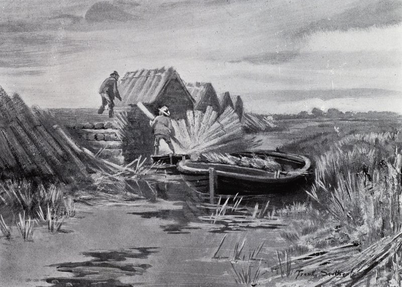 Norfolk Broads: Reed-Stacking (litho) de Frank Southgate