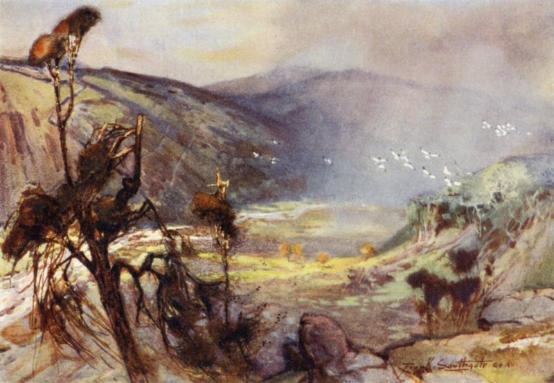 Tempestade nos Cheviots (cor litho) de Frank Southgate
