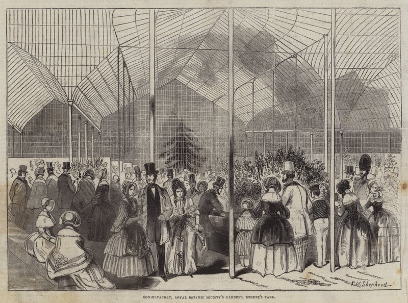 Conservatório, Jardins da Royal Botanic Society, Regent&39;s Park de Frederick Shepherd