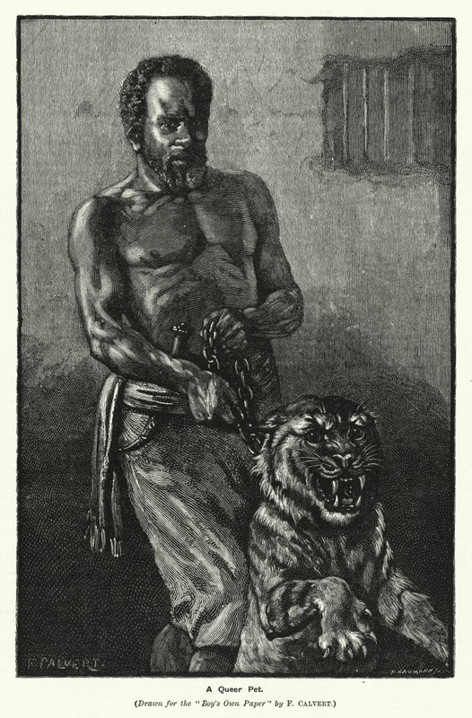 A Queer Pet (gravura) de Frederick (after) Calvert