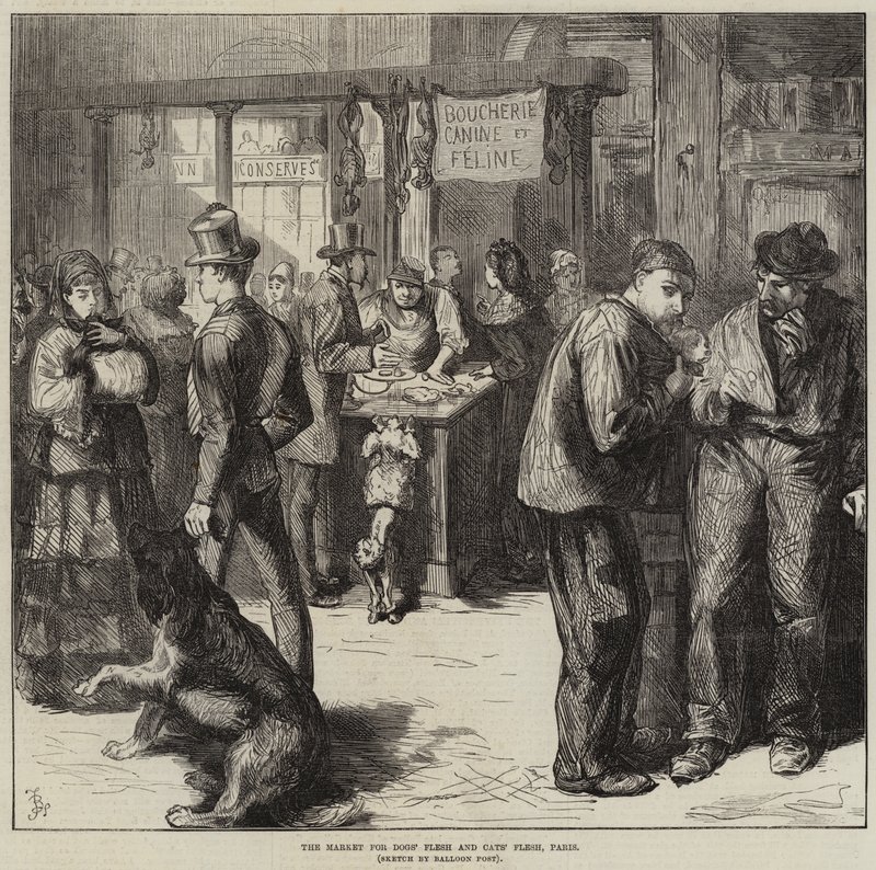 O mercado para carne de cães e gatos, Paris de Frederick Barnard