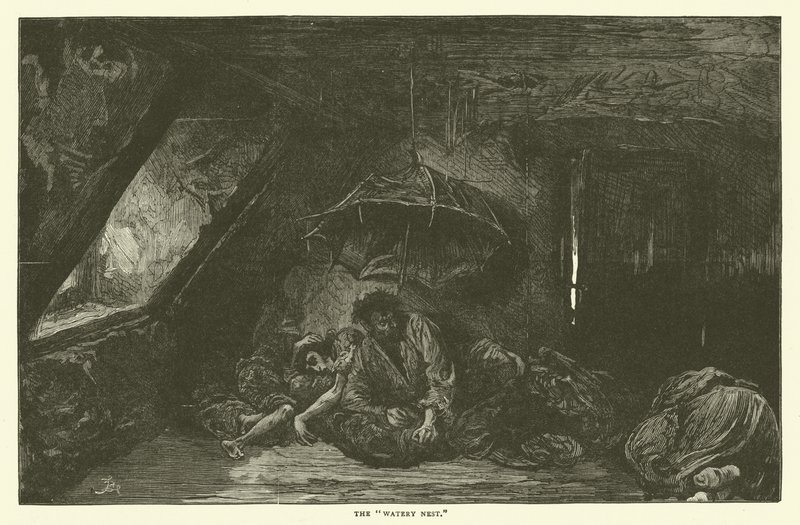 O ninho aquoso de Frederick L. Bernard