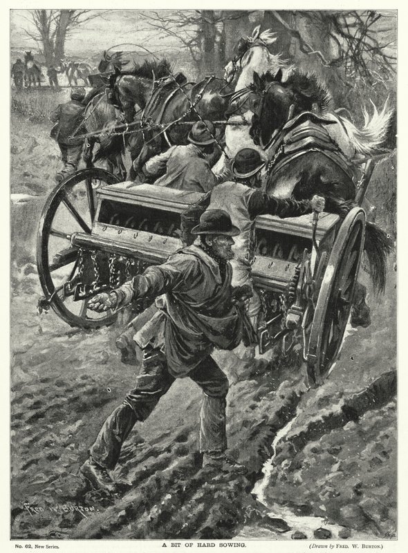 Um Pouco de Semeadura Difícil (litho) de Frederick William (after) Burton