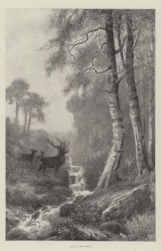 Amanhecer na floresta de Frederick William Hayes