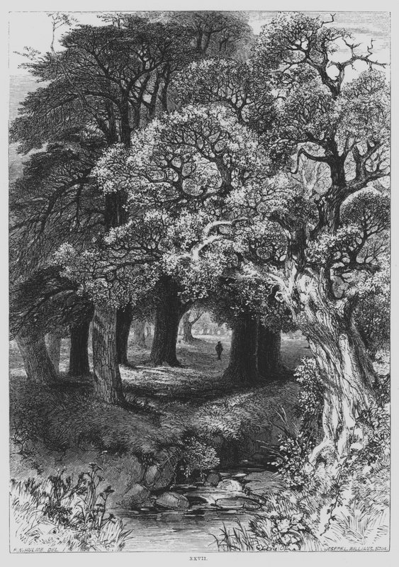 John Milton, A Pensiva (gravura) de Frederick William Hulme