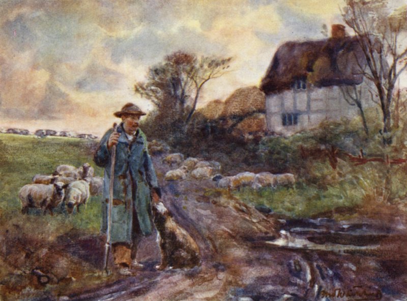 Vassoura De Mendigo de Frederick William Newton Whitehead