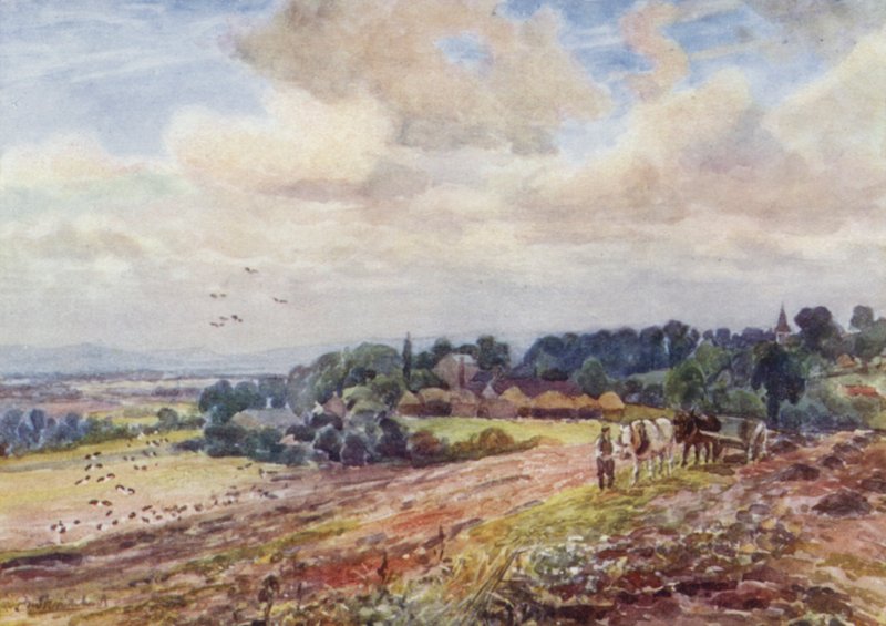 Grafton faminto de Frederick William Newton Whitehead