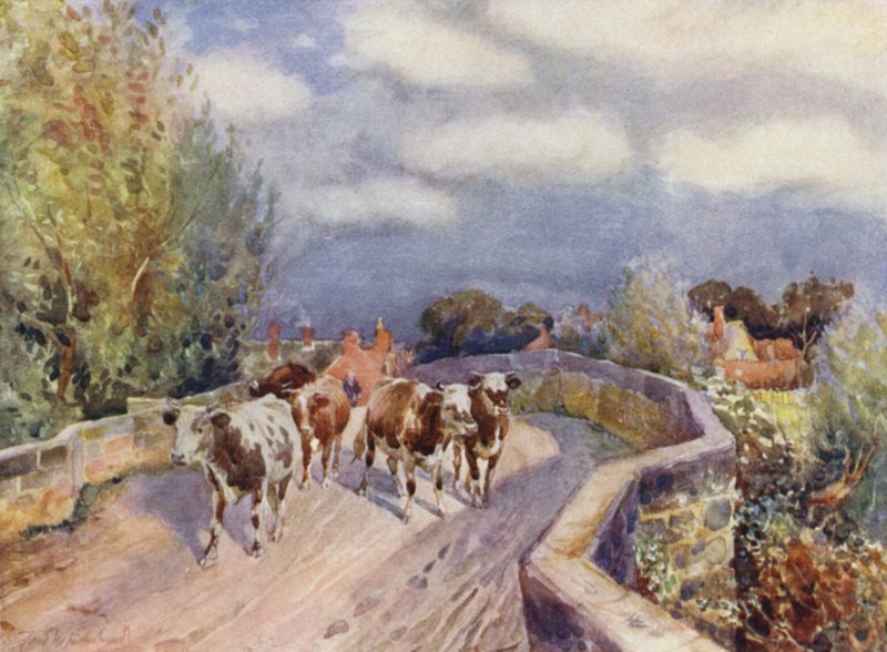 Ponte Marton de Frederick William Newton Whitehead