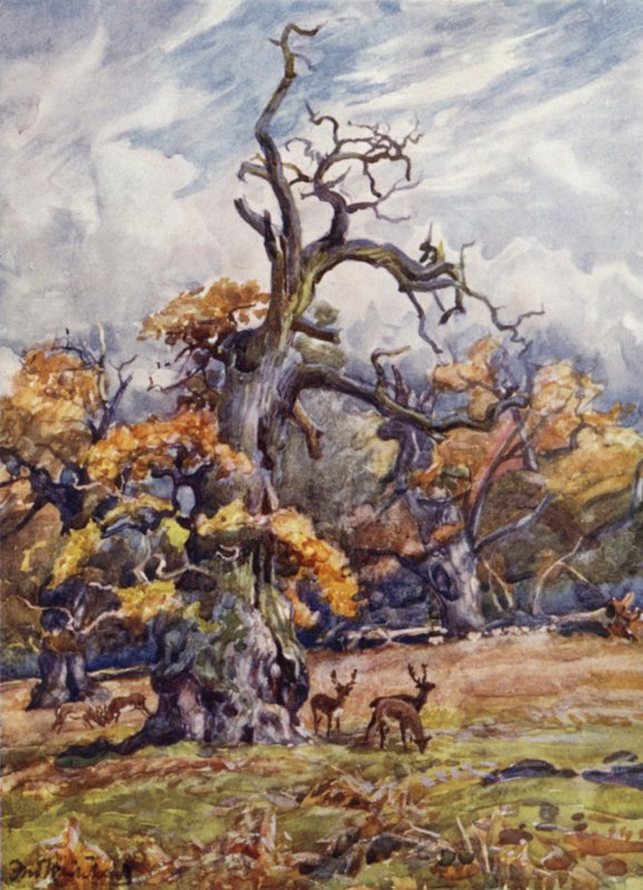 Packington Park de Frederick William Newton Whitehead