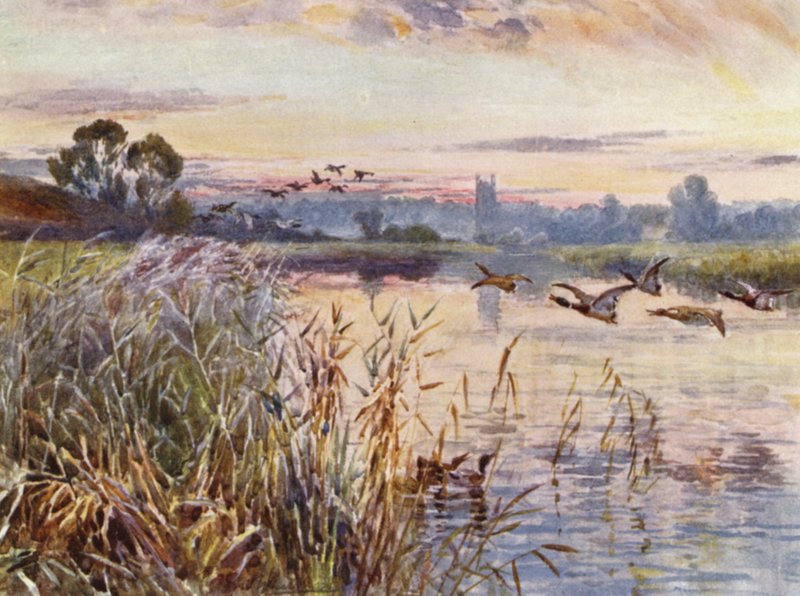 Salford Priors de Frederick William Newton Whitehead